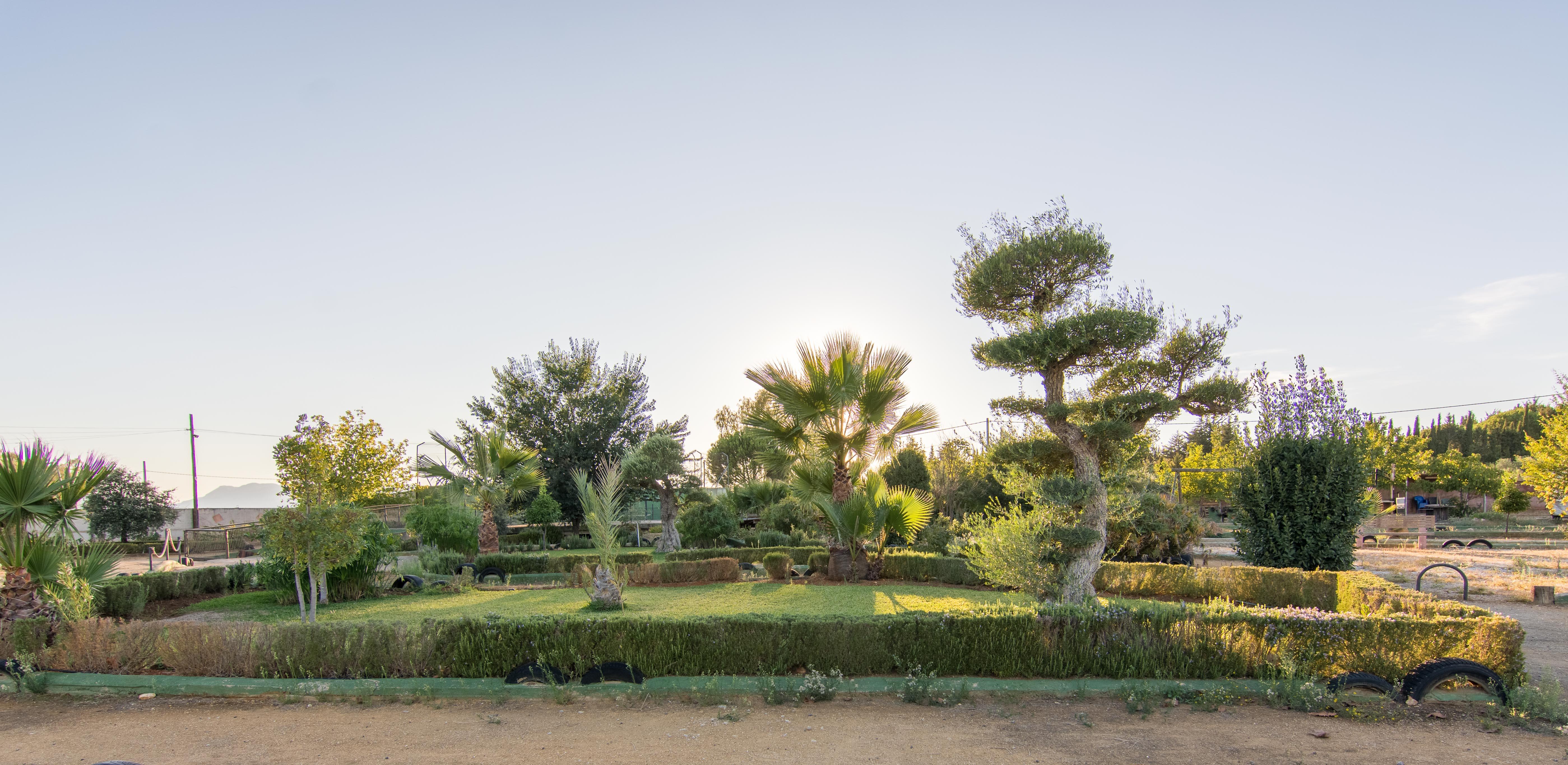 Hotel Rural El Cortijo Ронда Екстериор снимка